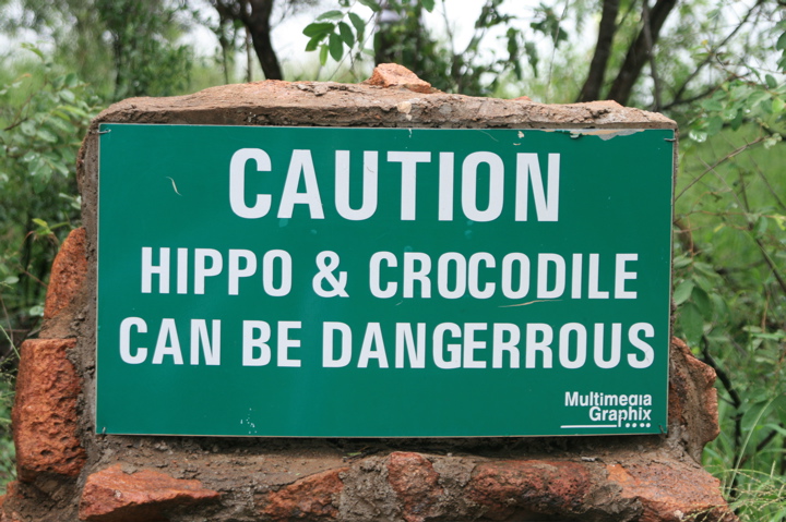 Hippos Krokodile