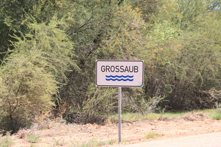 Grossaub